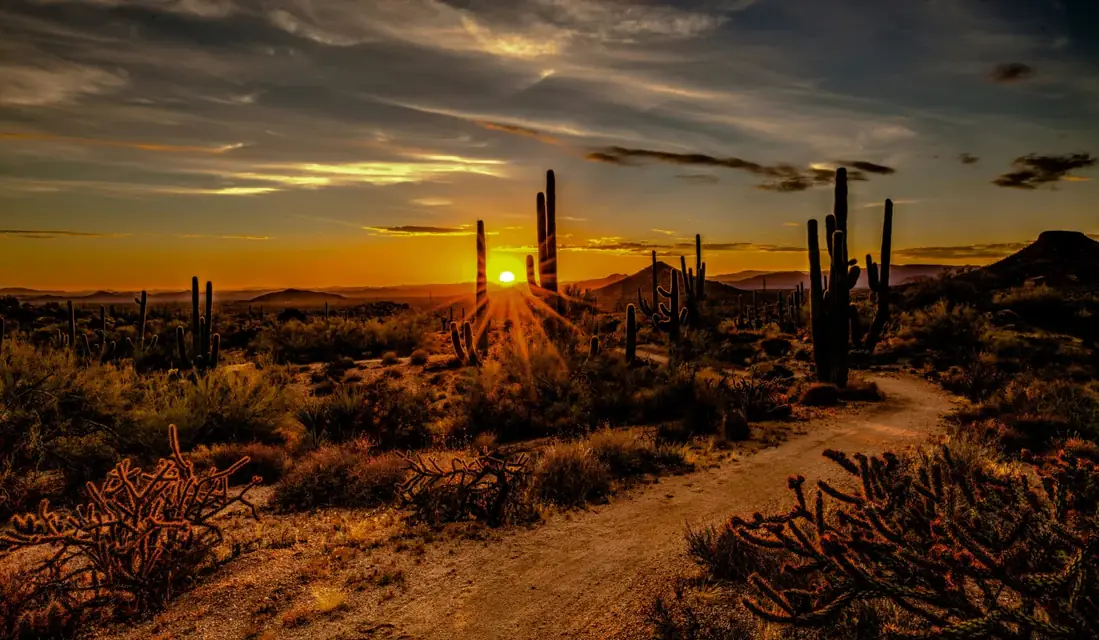 Desert landscape at sunset in Palm Springs, California