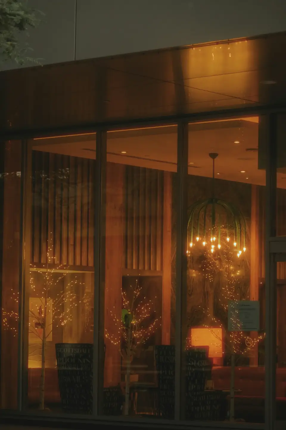 Warm retail-style interior lighting for a Santa Barbara business setting